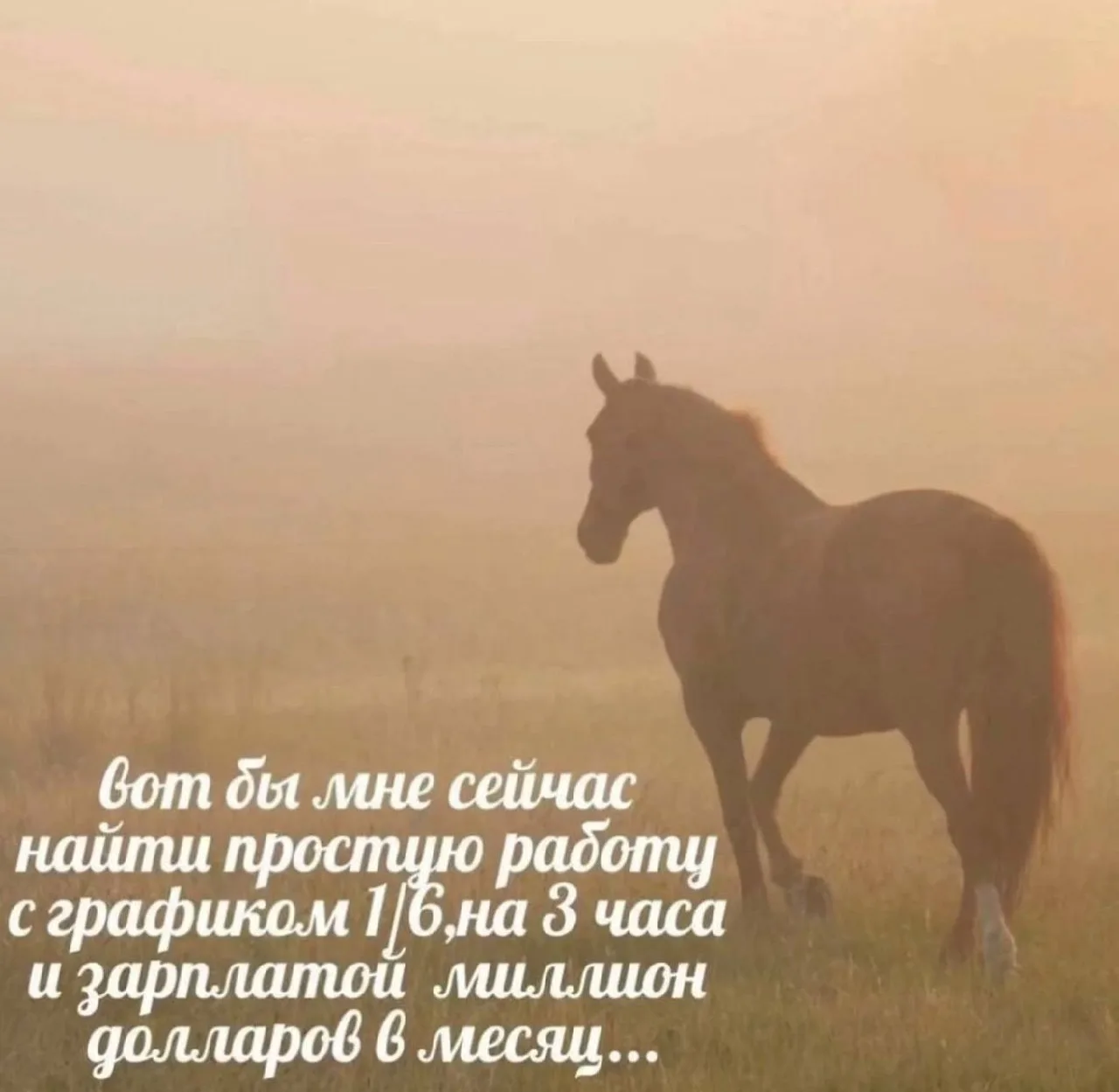 Мемы в MAX