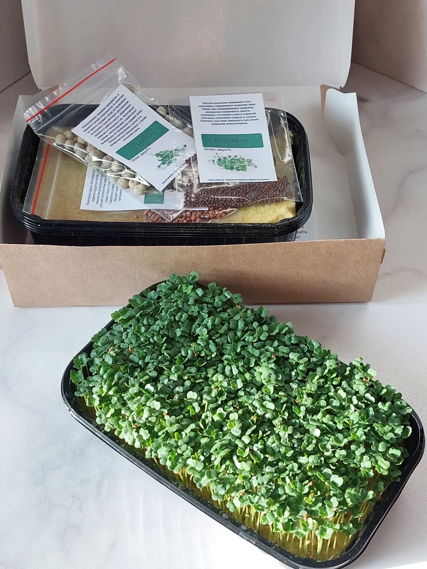 🌱 Хочешь добавить в рацион максимум пользы — начни с микрозелени! 🌱