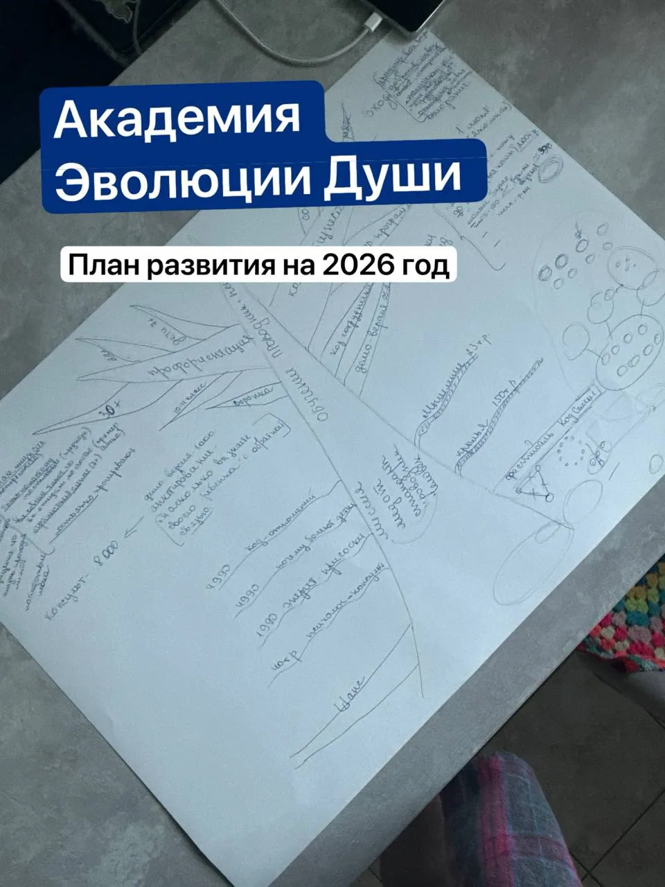 Академия эволюции души выглядит так