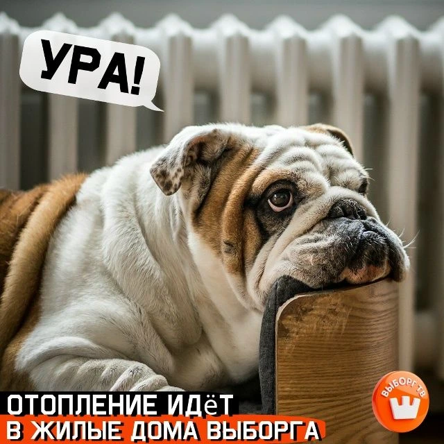 Отопление идёт в жилые дома Выборга