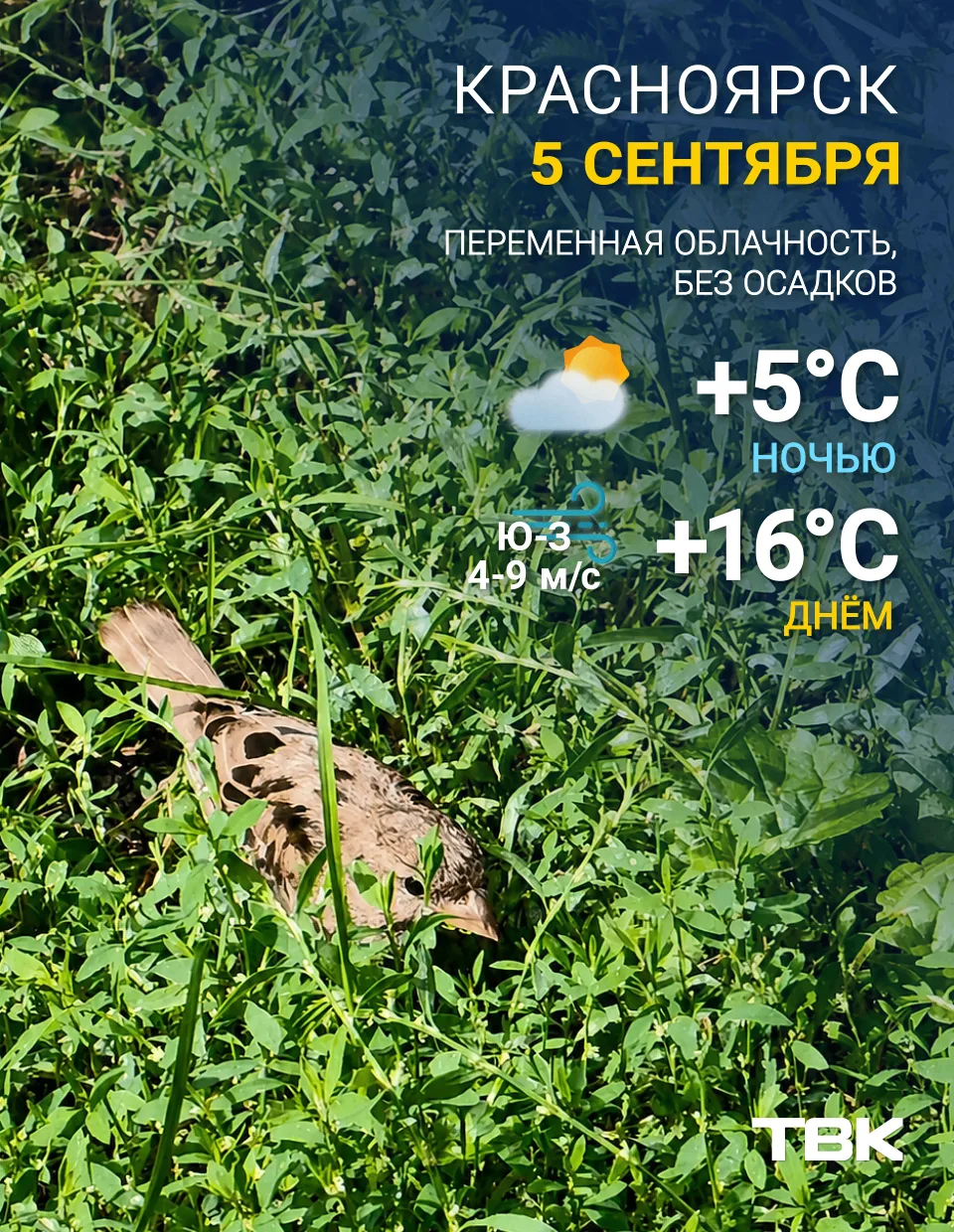 Погода на 5 сентября
