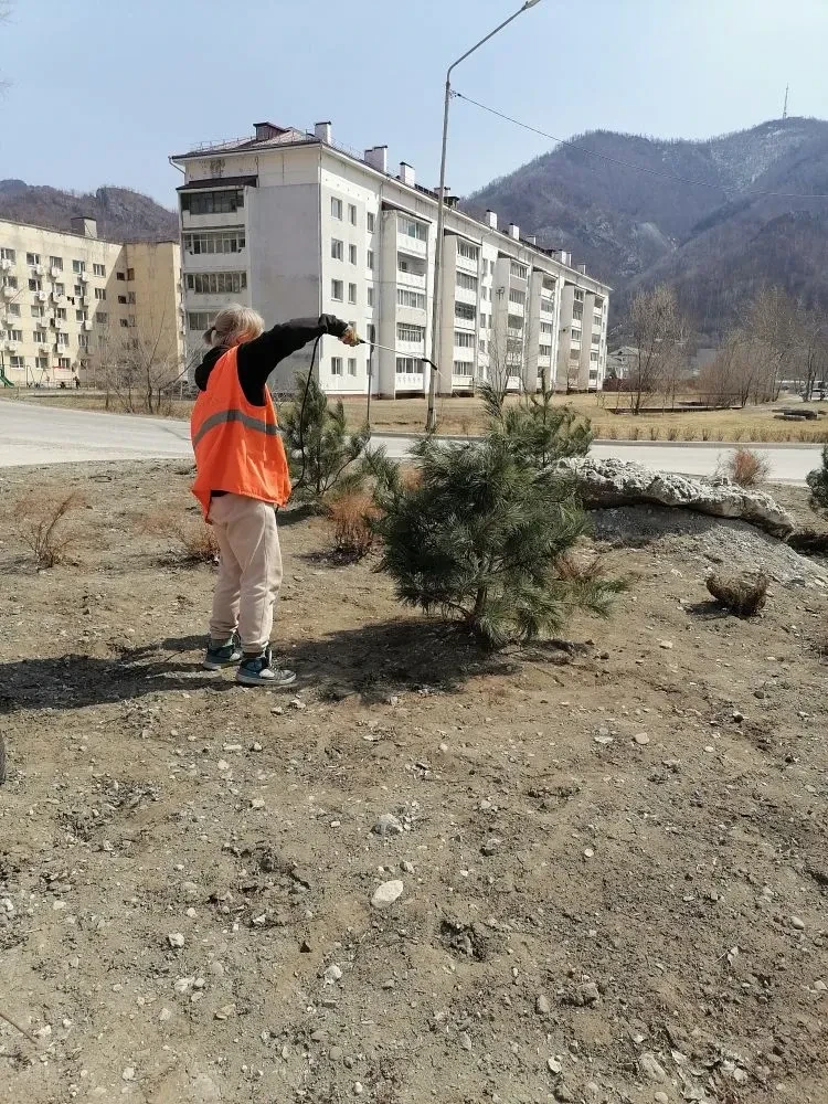 🌲 К весенней обработке кустарников и деревьев приступили работники зеленого хозяйства "Обслуживающег