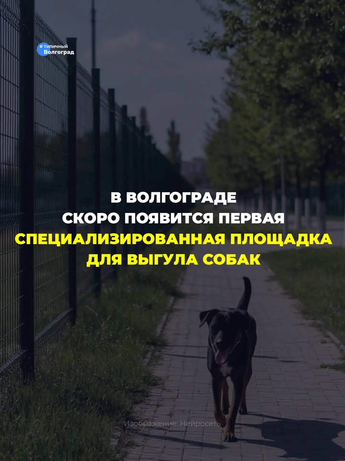 В Волгограде скоро появится первая специализированная площадка для выгула собак! 👏😍

✅ Для четверо