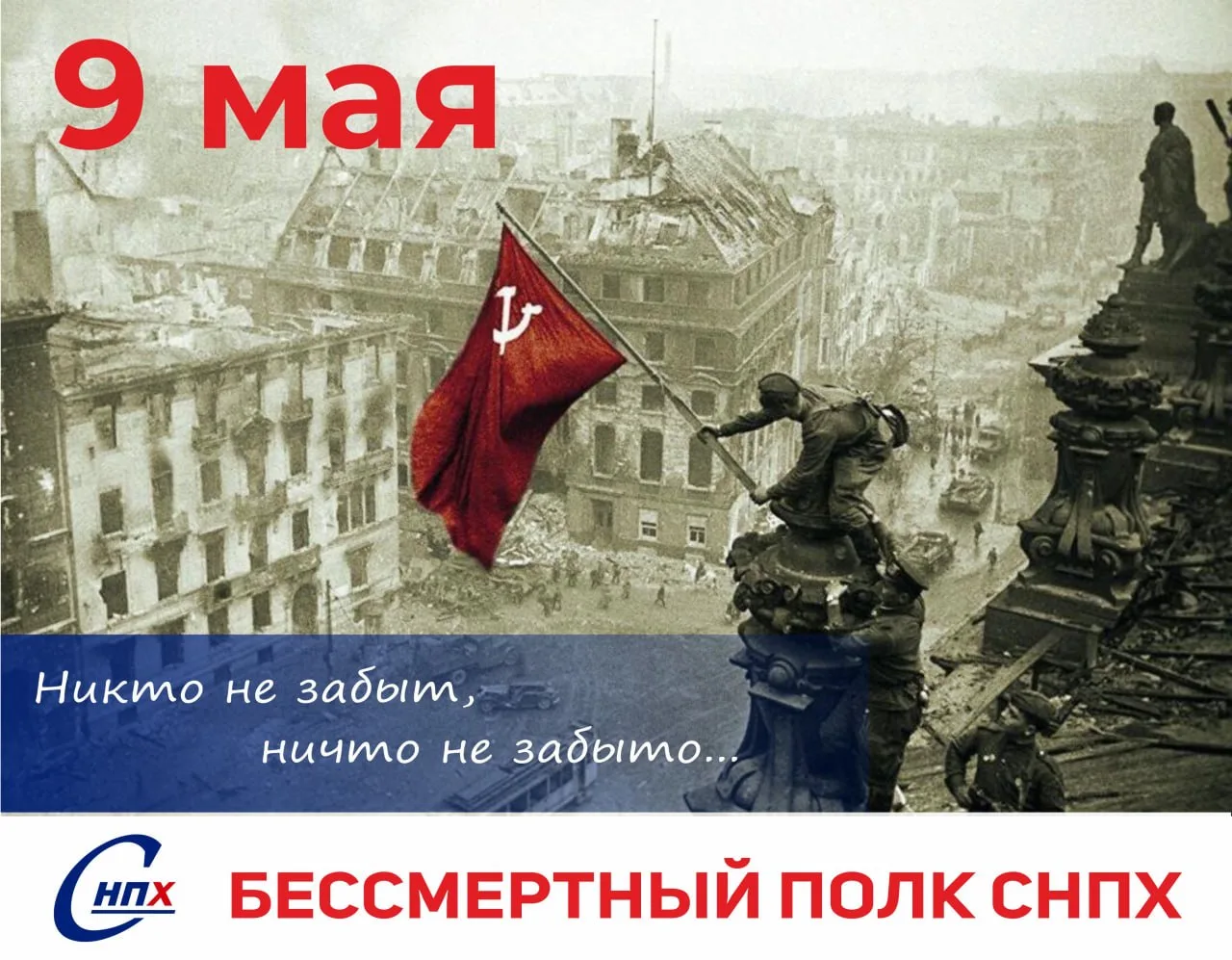 🕊Бессмертный полк СНПХ — в нашей ленте, в нашей памяти.