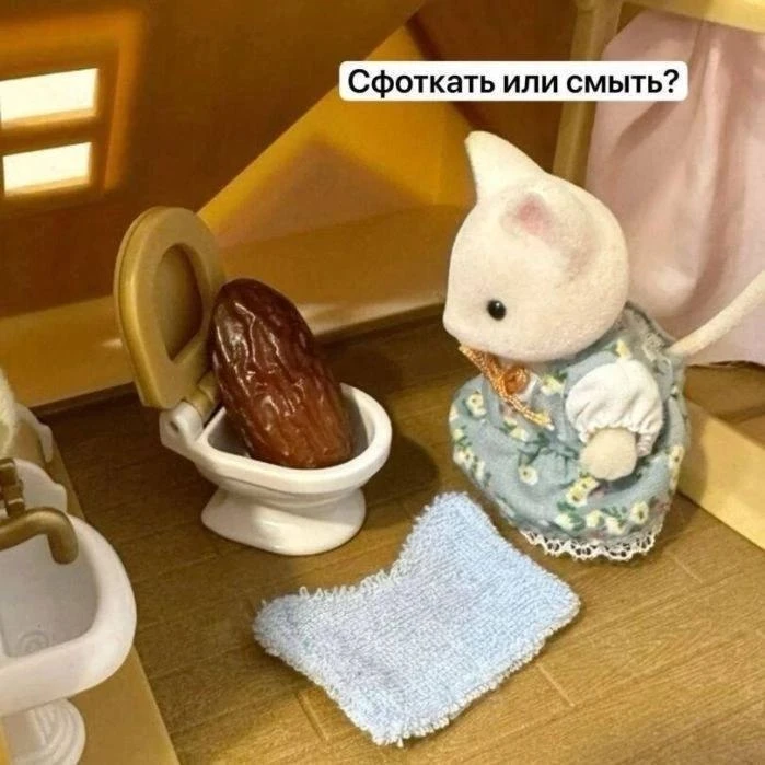 Мемы каждый день • Подписаться