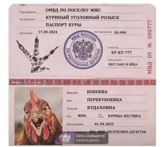😀Зарегистрировала свою.🐔🐓