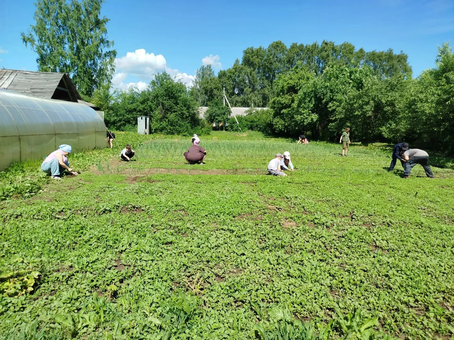 14 день школьного лагеря начался  с Трудового десанта. Ребята дружно боролись с сорняками на пришкол