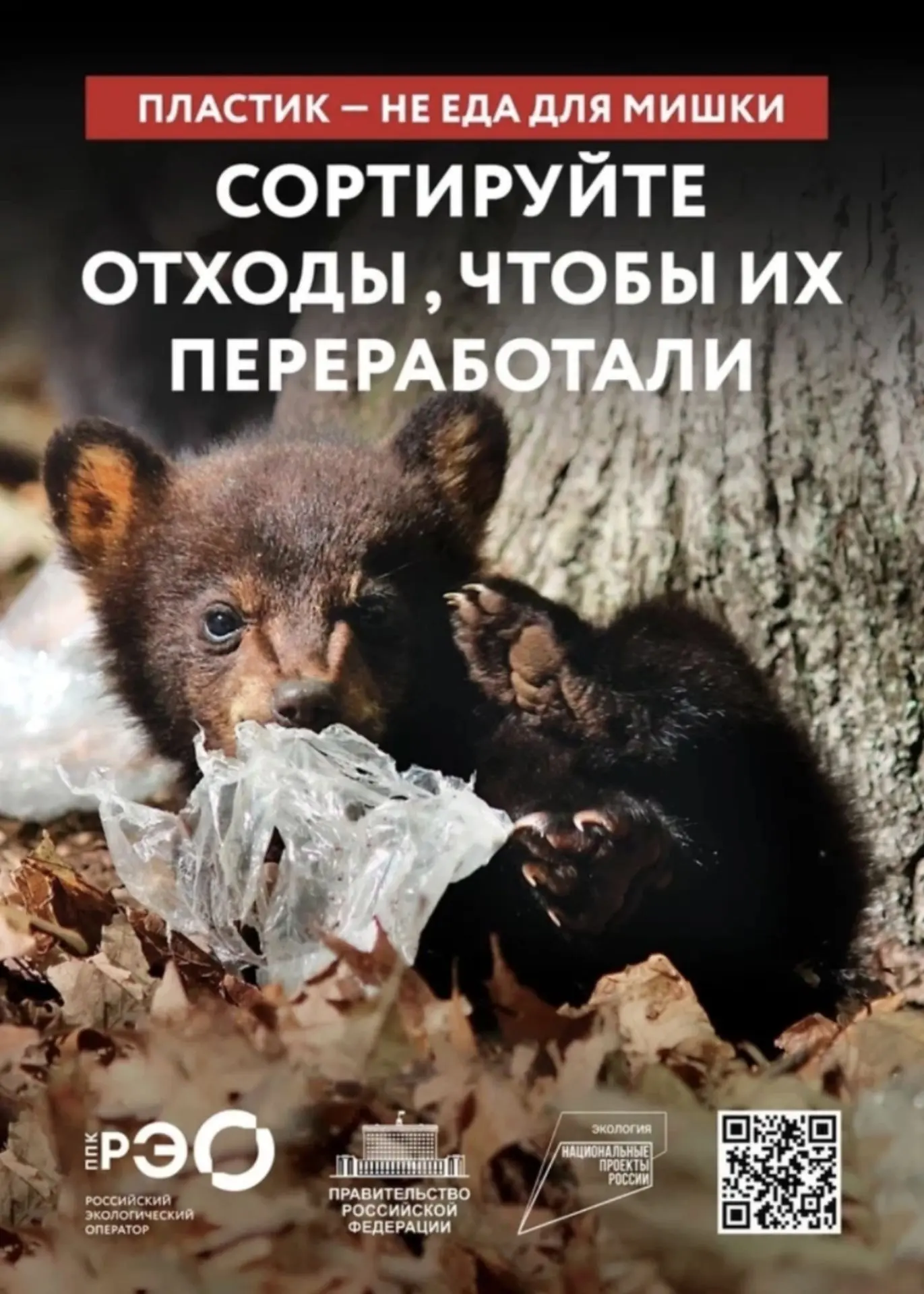 ♻🌎 «Вторая жизнь» твоего мусора: сортируй — и помогай планете!

Думаешь, один пакет мусора ничего н