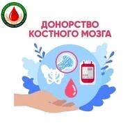 🩸 🩸 Неделя популяризации донорства костного мозга 🩸