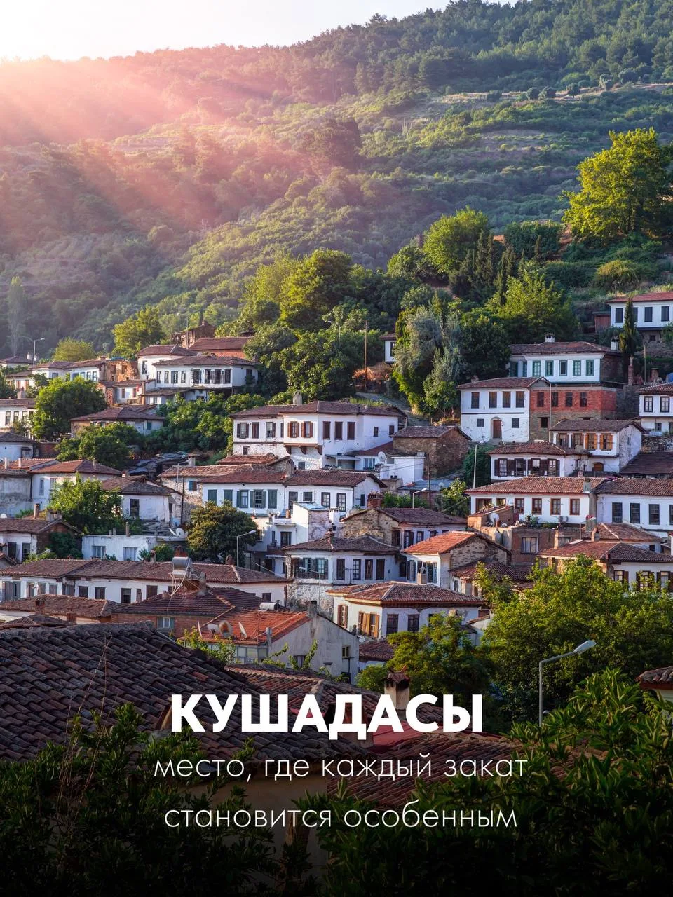 Изображение 5 к публикации «Астория Гранде | Морские круизы»