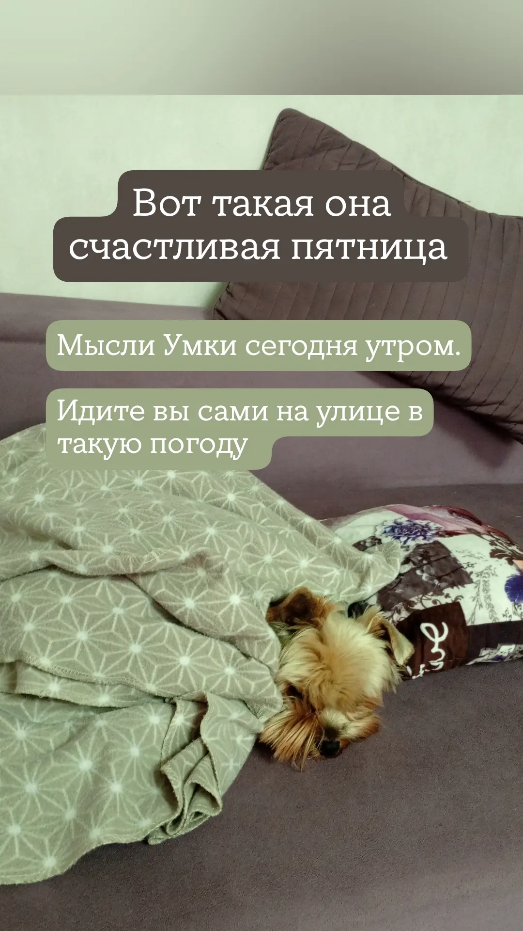 😊 а у вас какая пятница? У нас льёт дождь ☔ с утра . ☔