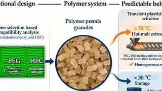 В журнале «Pharmaceutics» опубликована статья «Rational Design of Multicomponent Polyme...