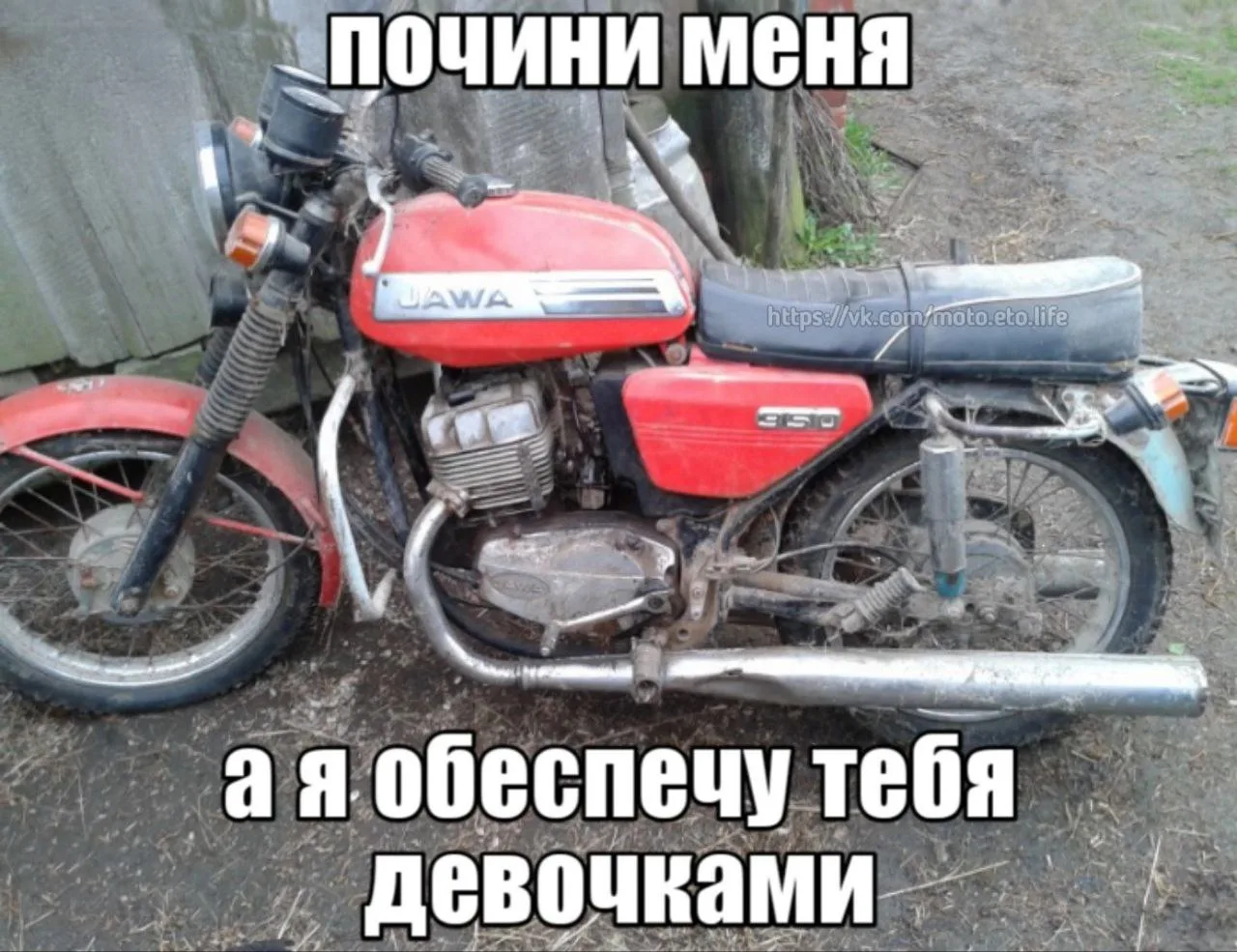 Верим ей? 😄