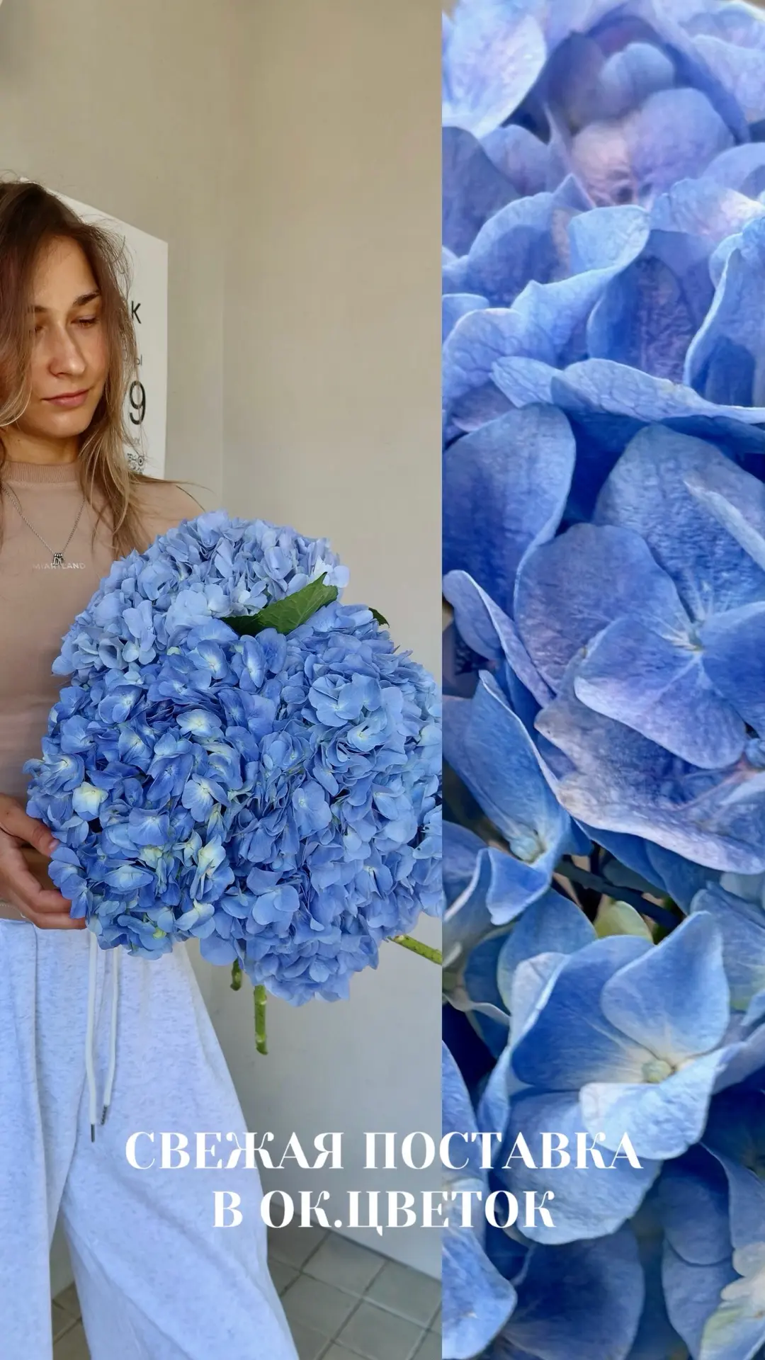Свежая поставка 💙🦋