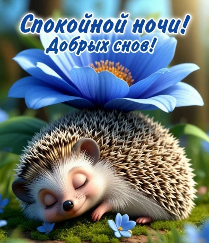 😍 Лучшие ОТКРЫТКИ и Классные ВИДЕО