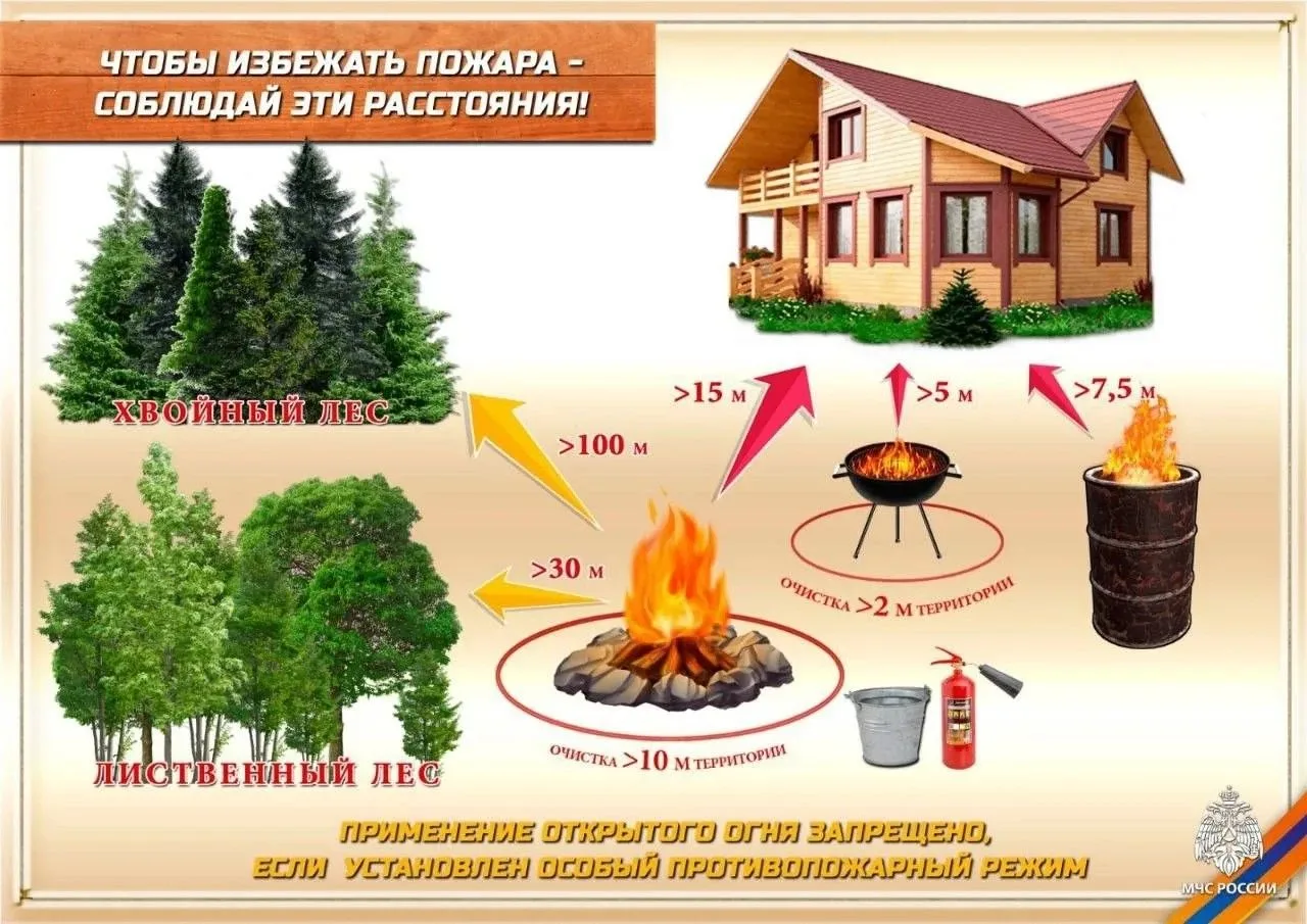 🍂 Осенняя уборка на даче должна быть безопасной!