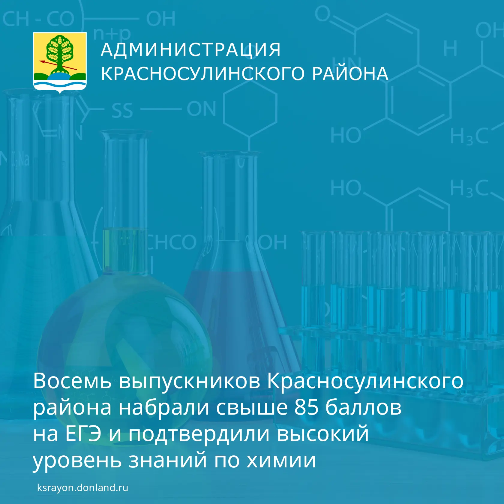 Химия покорилась: 8 красносулинских выпускников показали выдающиеся результаты на ЕГЭ.

🧪 В этом го