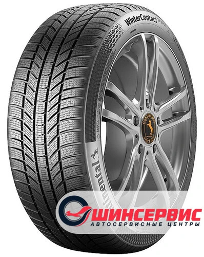 🚗 Нужно обновить резину или обслужить авто?