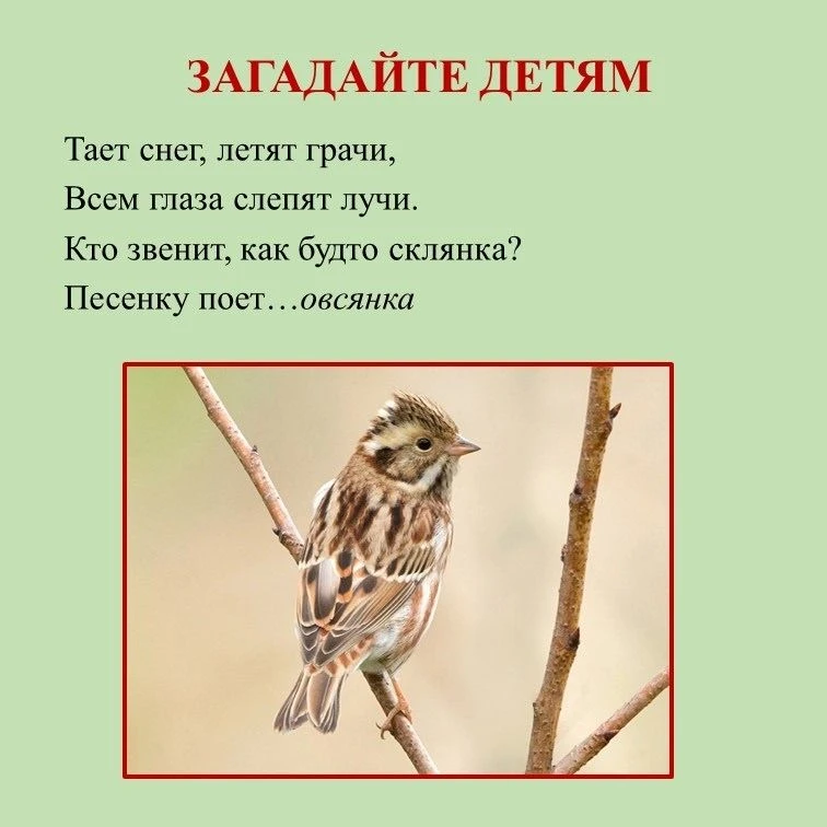 📣Рубрика «По страницам Красной книги Курской области» и её ведущая -Татьяна Владимиров...