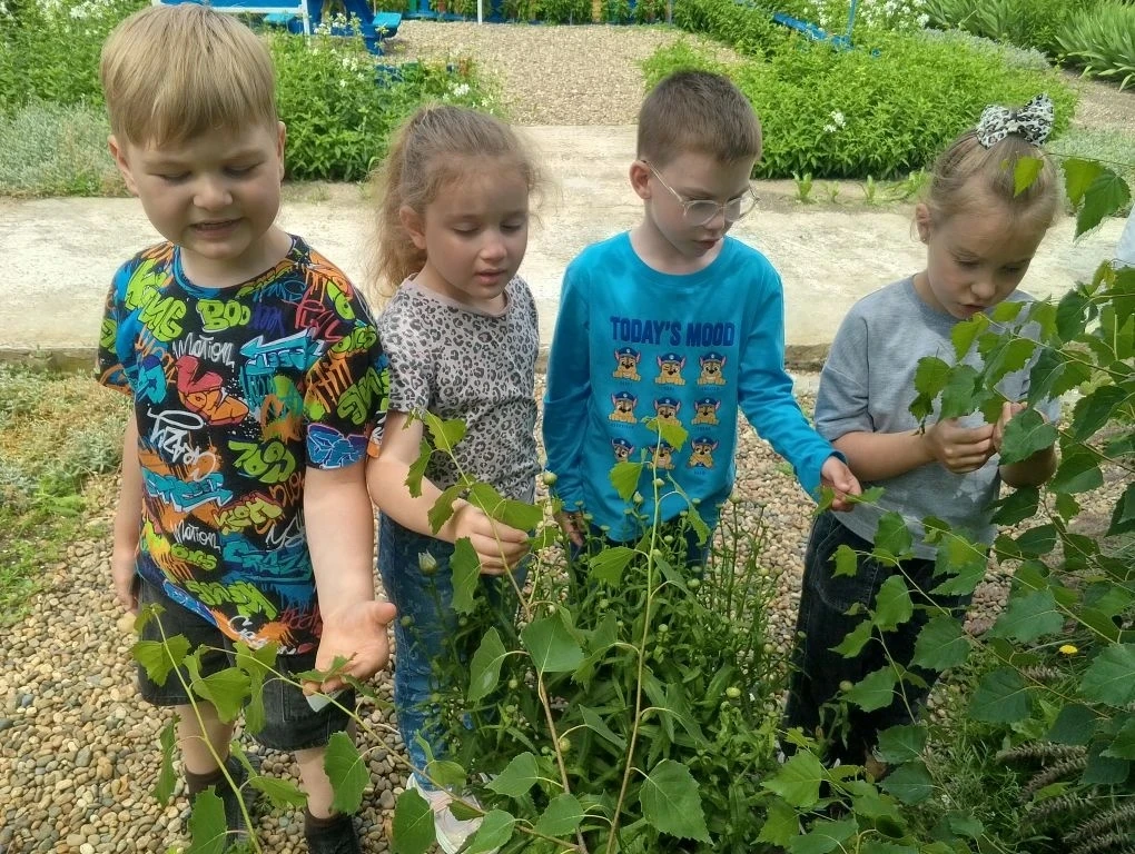 🌿 Лето учит нас ценить мгновения!✨

Наши дети наслаждаются летним периодом, наблюдая за природой. Э