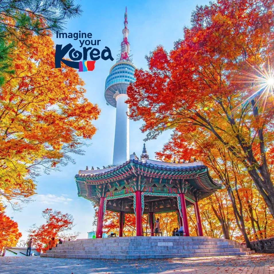 🍁🍁Друзья, осенью в КОРЕЕ стоит идеальная погода: ясное небо, теплые дни🌞 ,  деревья,...