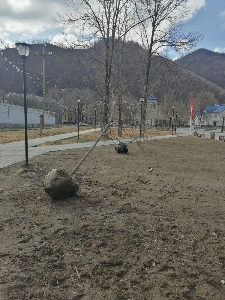 Работы в городе  🍁 Участок озеленения «Обслуживающего учреждения» приступил к посадке деревьев в скв