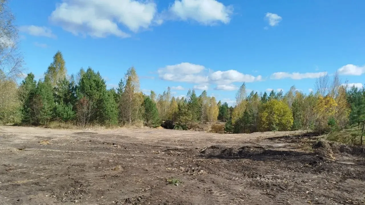В Сосновоборском районе ликвидировали свалку площадью более 1,5 гектара