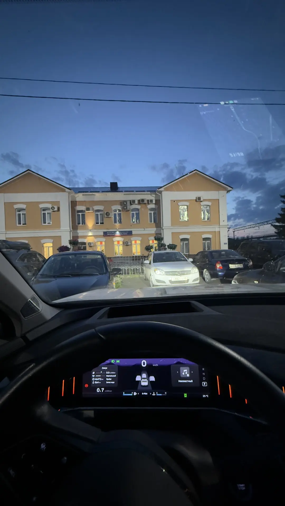 Приехала в Мичуринск встречать лучшего в мире доставщика пушистого счастья.