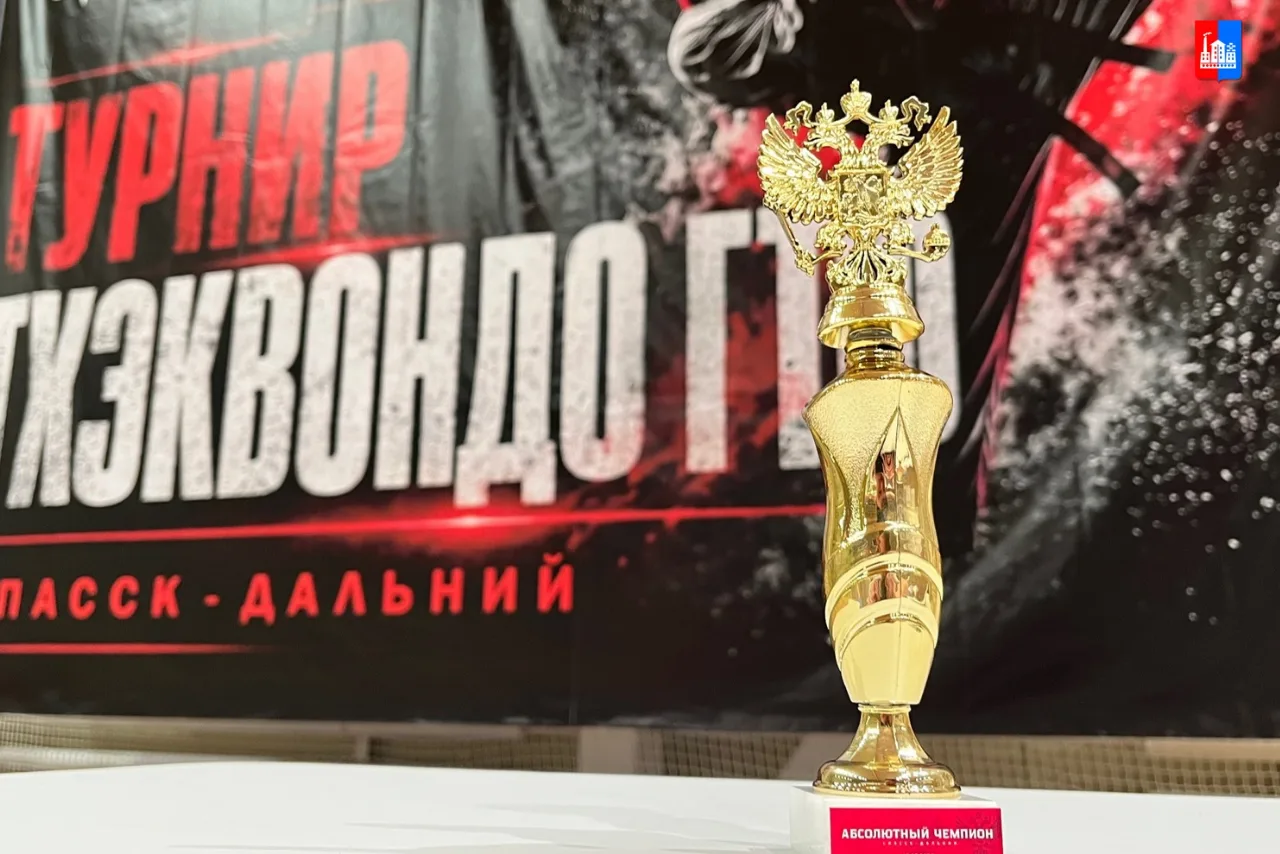#спорт_это_МЫ  Завершились соревнования по тхэквондо ГТФ Спасска-Дальнего.  Отличные результаты пока