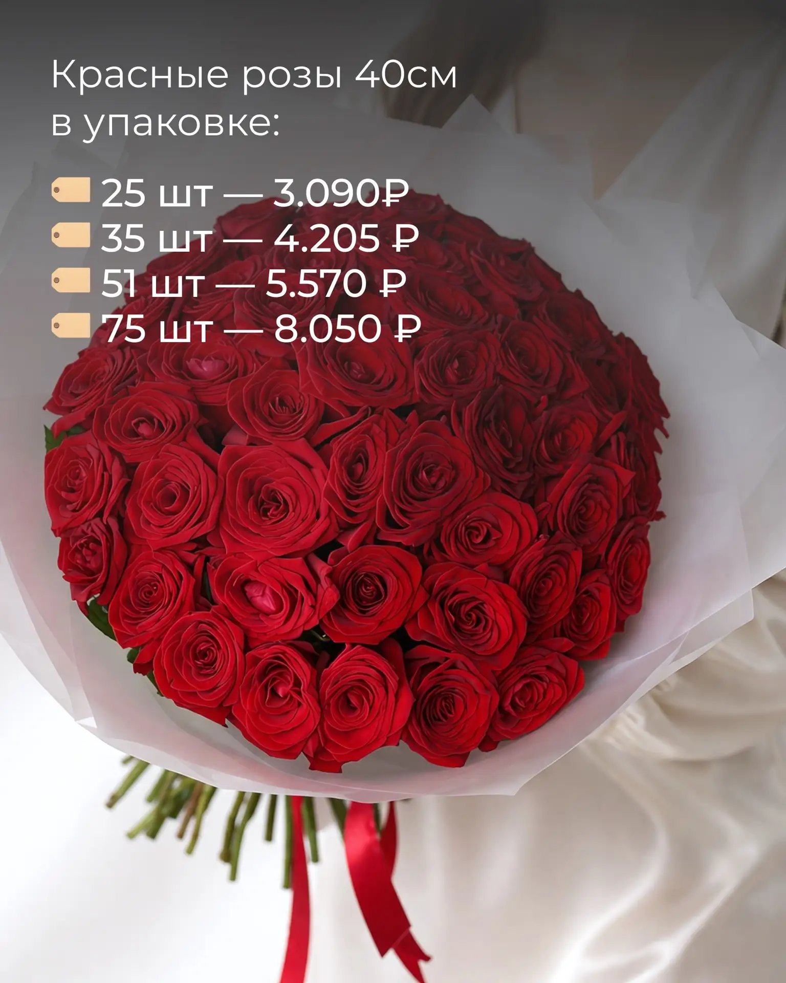 Красные розы — классика, которая всегда производит впечатление 🌹