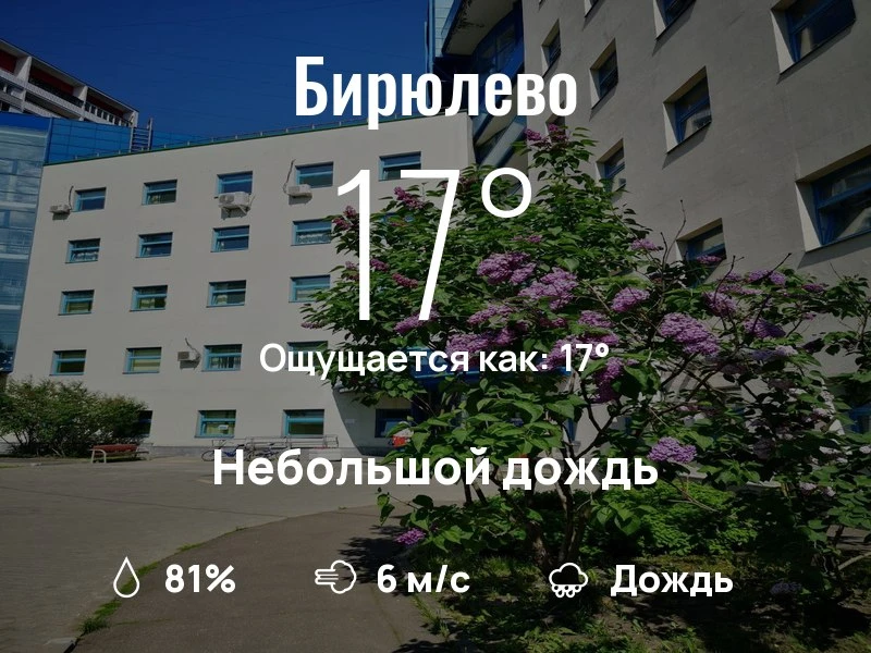 Что с погодой в Бирюлево?