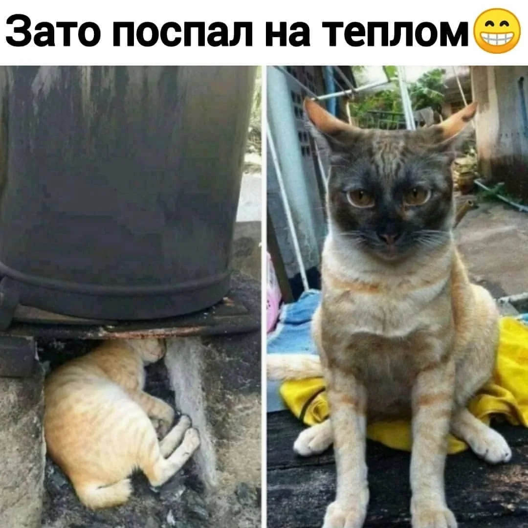 ____________________
Помощь со всеми видами работ

👉Заказать помощь в MAX
👉Заказать помощь в Teleg