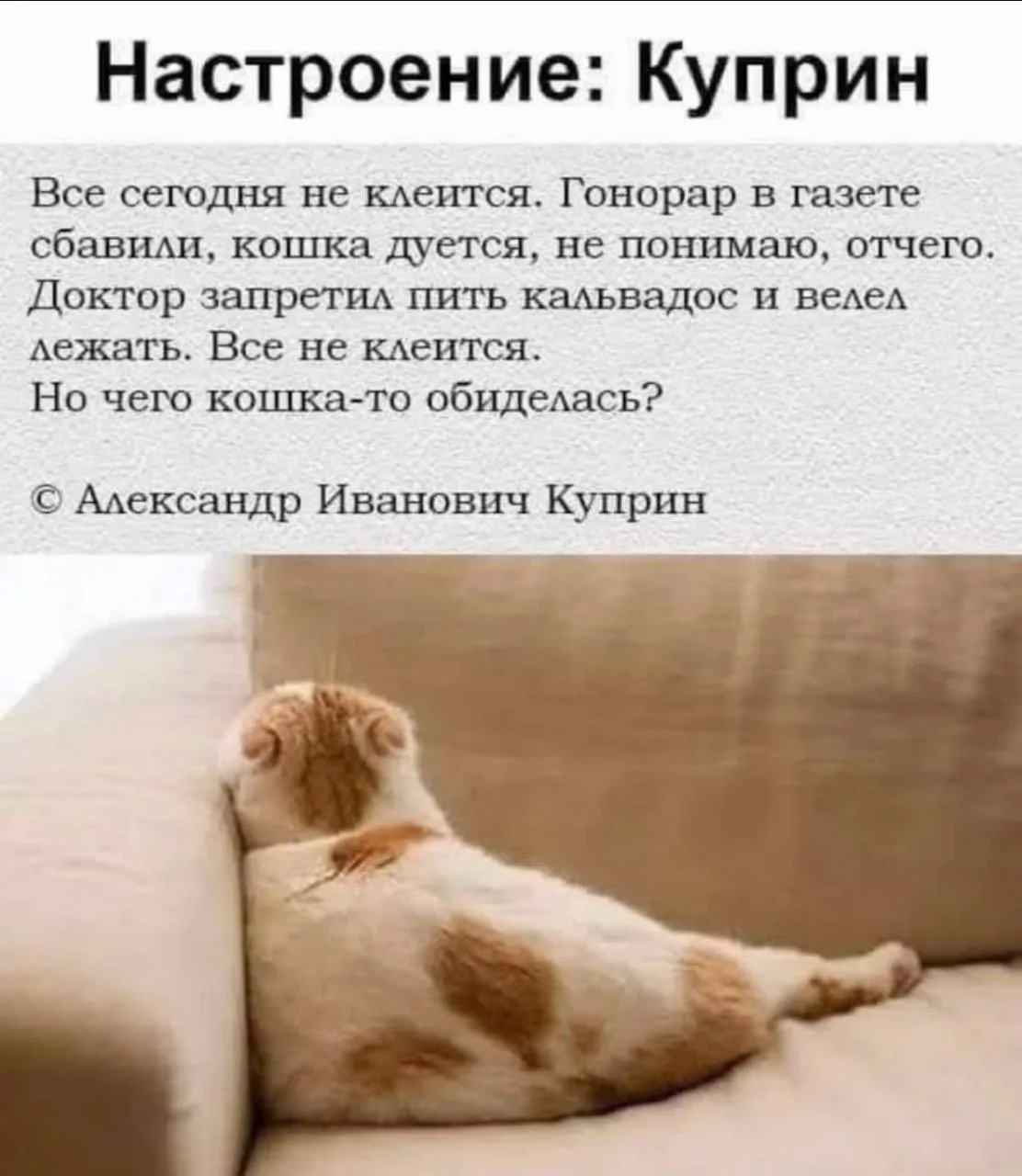 Сегодня у нас нескучный урок анатомии и биохимии 
Поговорим о кортизоле,о том самом гормоне, про кот