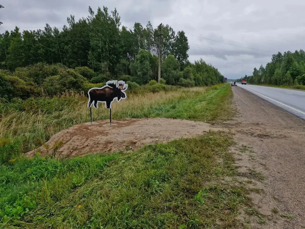 На Северном обходе Пскова установили муляжи лосей 🫎