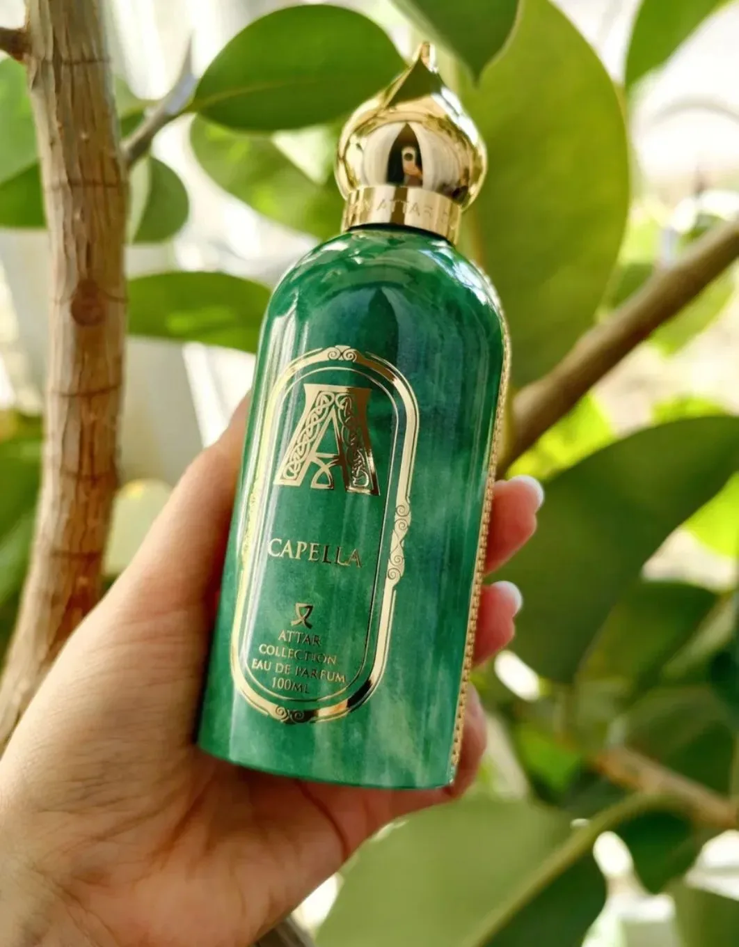 Аромат Capella от Attar Collection — словно глоток свежего воздуха на рассвете в зелёно...