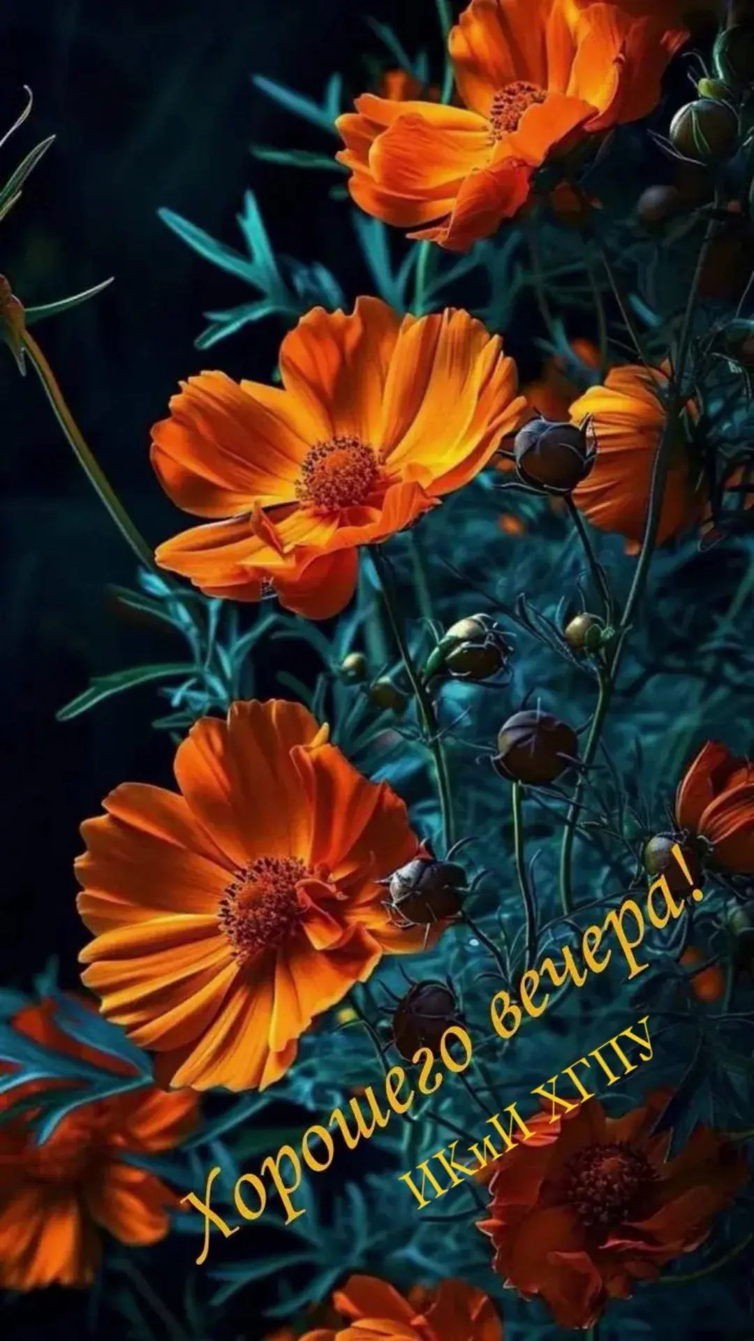 @Наша🐞Ялта