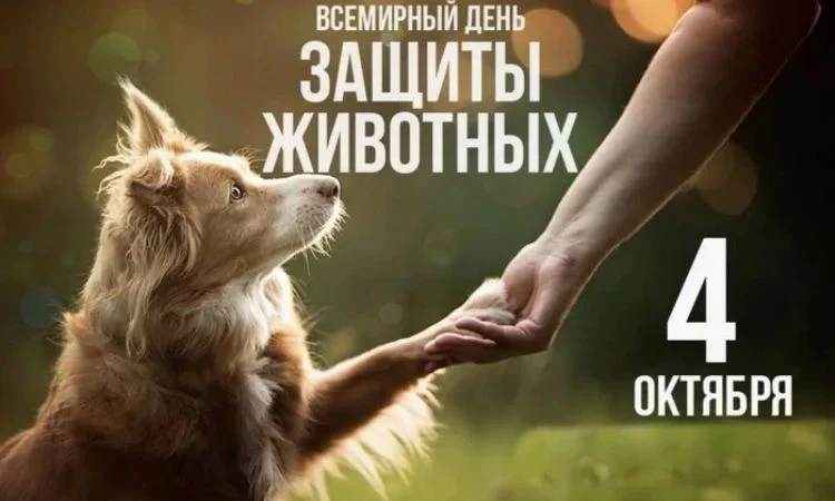 Каждый год 4 октября планета отмечает Всемирный день защиты животных, и в старшей логоп...
