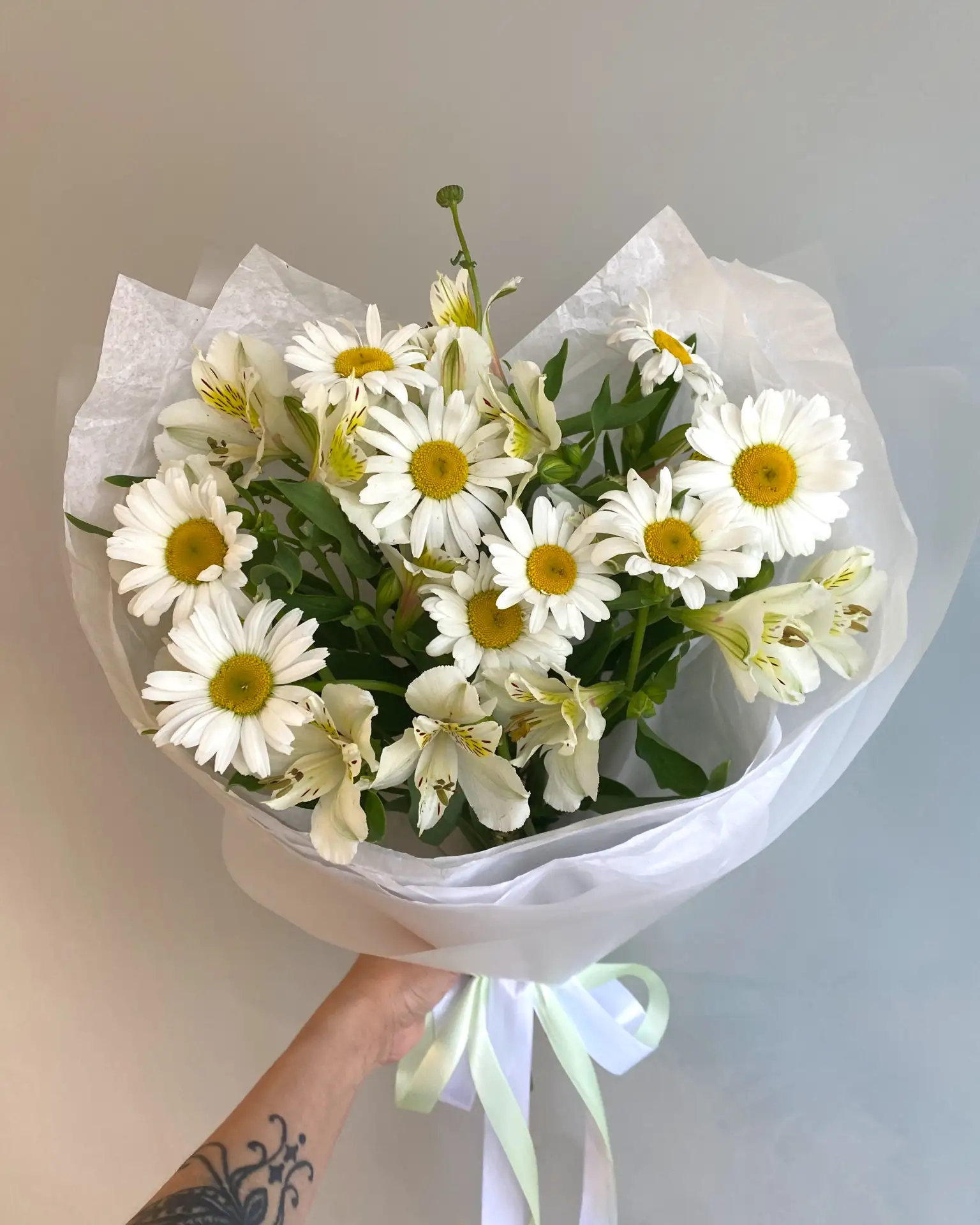 Сезонные цветы на этой неделе-ромашки🌸