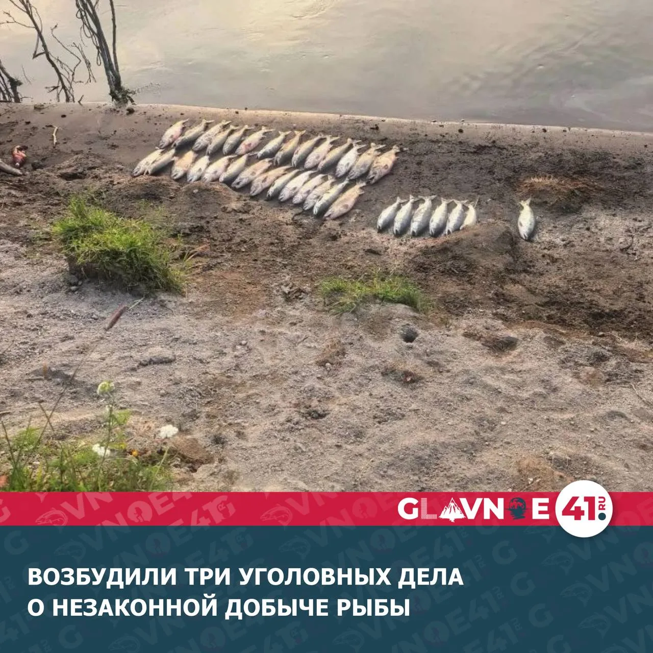 Три факта выявили в рамках операции «Путина-2026», проверки на водоёмах продолжаются