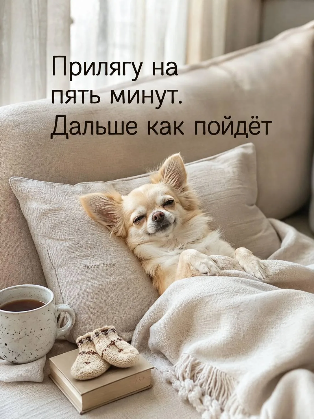 Твой Лучик Добра ✨ Подпишись