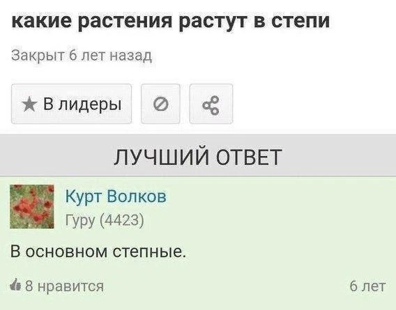 я, когда ребёнок задаёт 153-й вопрос за день