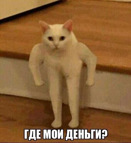 До 192 тысяч: аналитики рассказали, в каких сферах омичи зарабатывают больше всего.