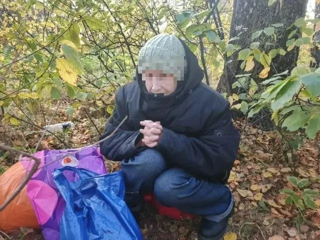В Ярославле на Липовой горе замерзает пожилая женщина: пенсионерка ночует в лесополосе ...
