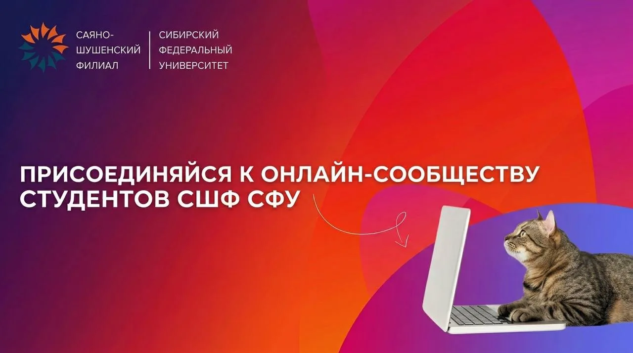 Комьюнити СШФ — это отдельная вселенная со своим ритмом, людьми и атмосферой 🌲