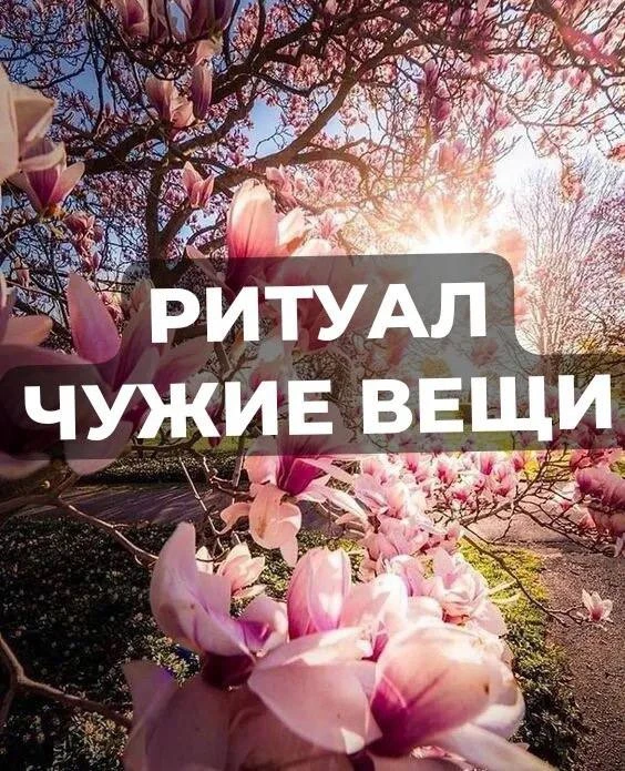 Нель­зя ка­те­го­ри­че­ски но­сить вещи, при­над­лежа­щие дру­гим лю­дям. Де­лить одну сум­ку на дво