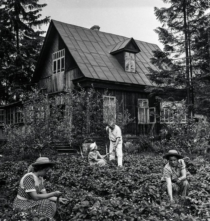 #история_ИЖС

🥔 1945–1955: сады и огороды как спасение от голода

Продолжаем рубрику об эволюции ИЖ