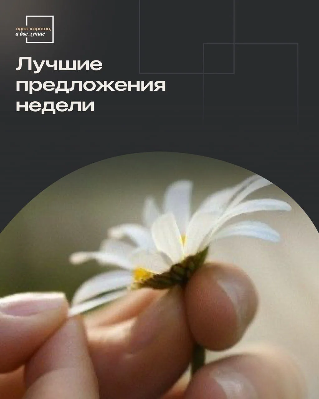 29 мая — день гадания на ромашках🌼