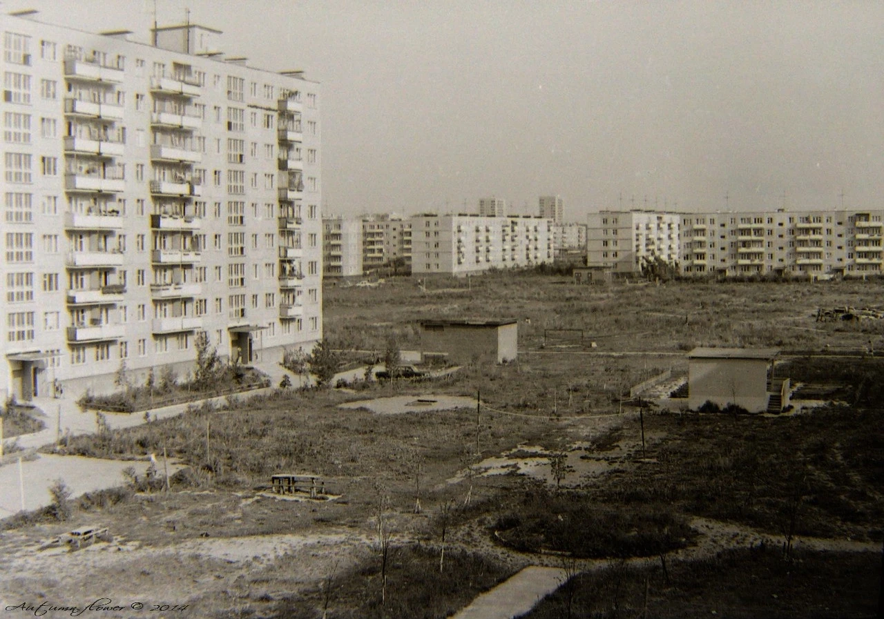 🏢 Двор домов № 33 и 35 по Красногвардейскому бульвару. - 📆 1976 г.