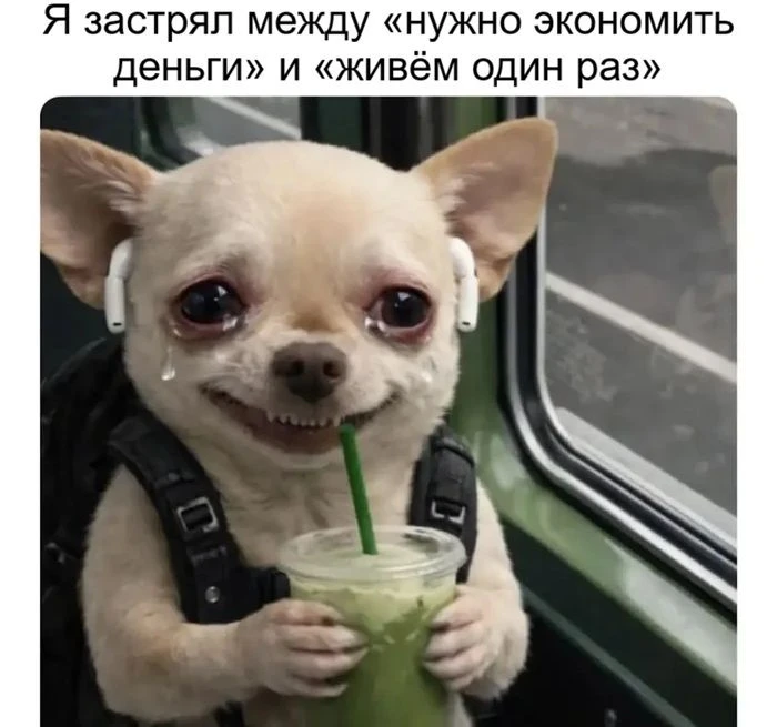 «Деньги любят счет, а жизнь - разумные траты!»
