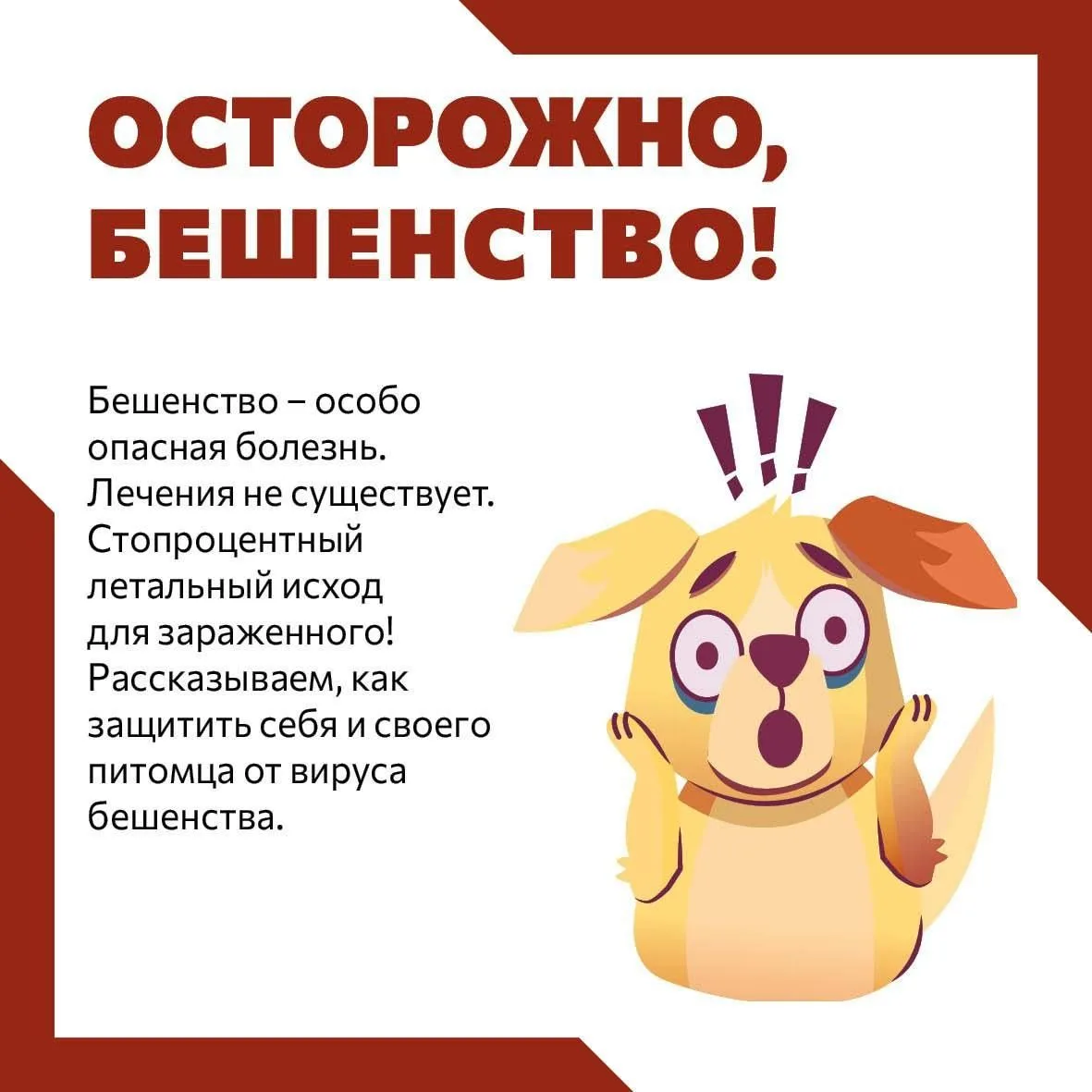 ☀️Лето – это время, когда большинство из нас стремится как можно больше времени провести на природе.